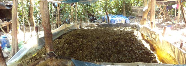 poza cocaina portada