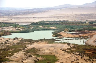 h. la caleta pasillos