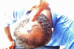 herida-inspctor-produce